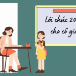 Tổng hợp những lời chúc ý nghĩa tặng cô ngày 20/10